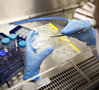 Cell Separation Market by End-User and Geography - Forecast and Analysis 2020-2024